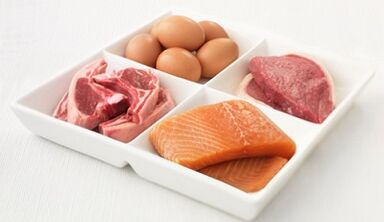 Principios básicos de nutrición nunha dieta proteica